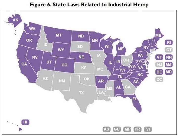 美国种植大麻的合法化。这意味着什么？