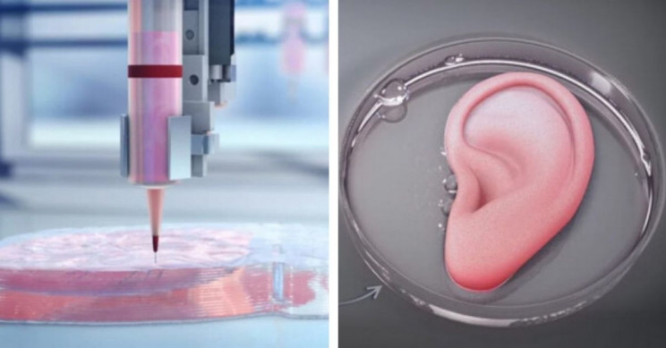 在科幻世界里才出现的3D打印器官将变成现实
