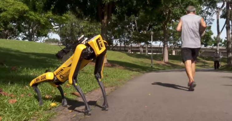 在公园中进行社交疏散的机器人