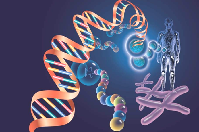 DNA Script推出世界上第一台酶促DNA打印机
