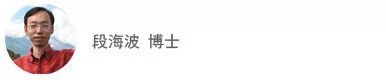 元宇宙vs. 数字孪生：技术演化的视角