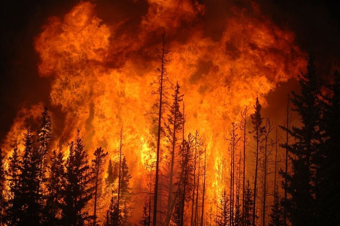 New Atlas：研究称野火暴露可能会增加患癌症的风险