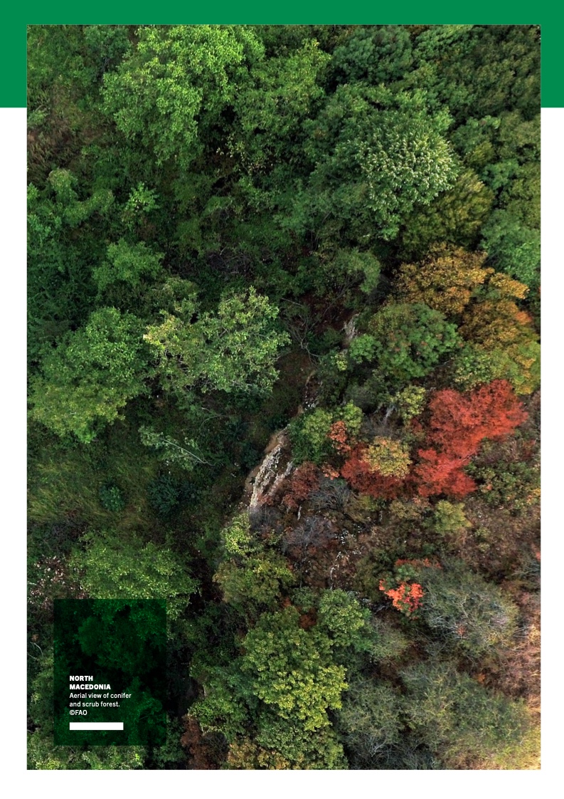 FAO：2022年世界森林状况报告