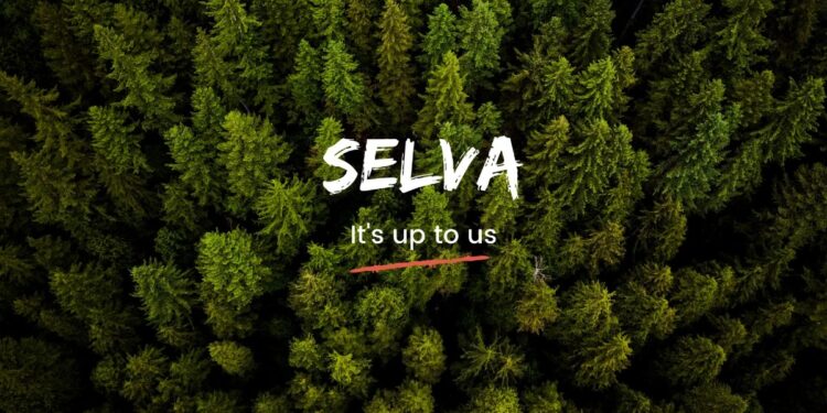 可持续初创公司 Selva 关闭商店：首席执行官表示“良好的意愿不足以建立一家可持续发展的公司”
