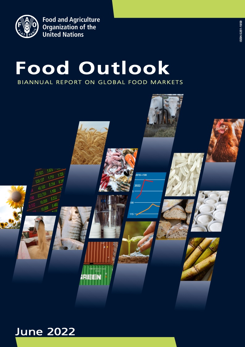 联合国粮农组织：2022上半年全球粮食展望报告