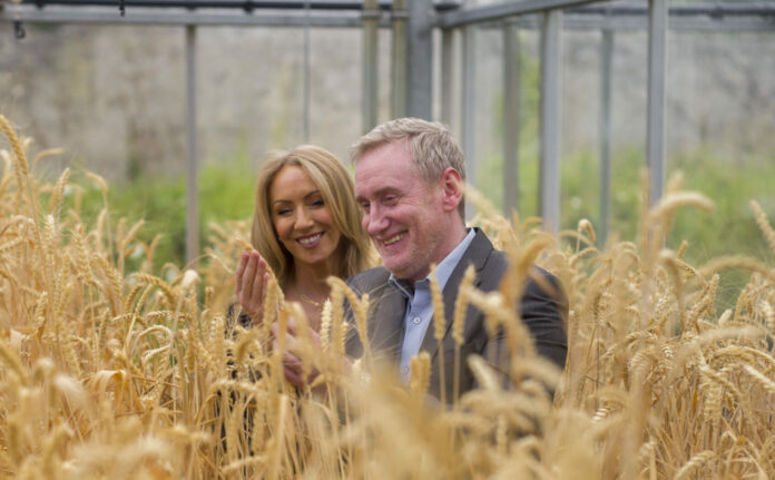 爱尔兰初创公司 CropBiome 筹集了 130 万欧元，以使我们的食品供应更加可持续和安全