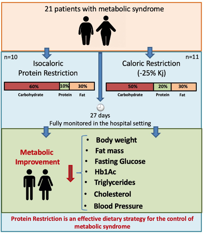 无需节食！研究表明减少蛋白质摄入即可对抗肥胖