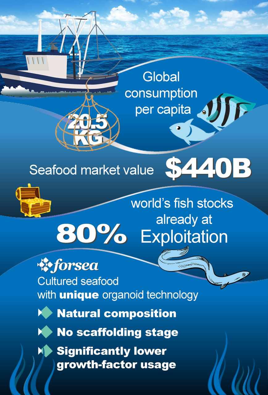 FoodTech 初创公司 Forsea 获得 520 万美元用于培育濒危鱼类的细胞海鲜替代品