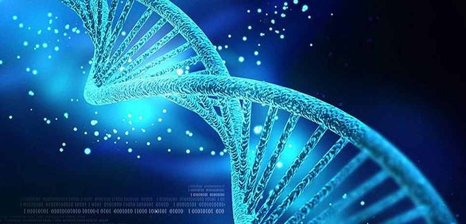 基因组编写初创公司 Replay 获得比尔盖茨 150 万美元的资助，用于其免疫沉默技术，为疾病带来“大 DNA”治疗
