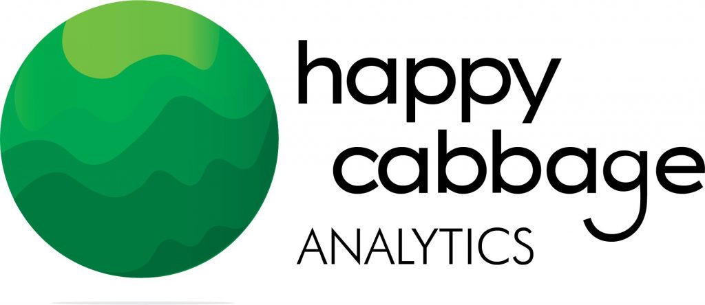 Happy Cabbage Analytics 筹集战略融资回合