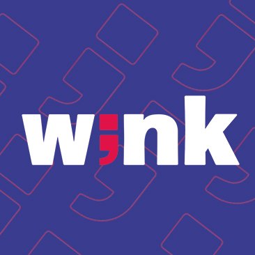 Wink 增加 300 万美元的种子资金