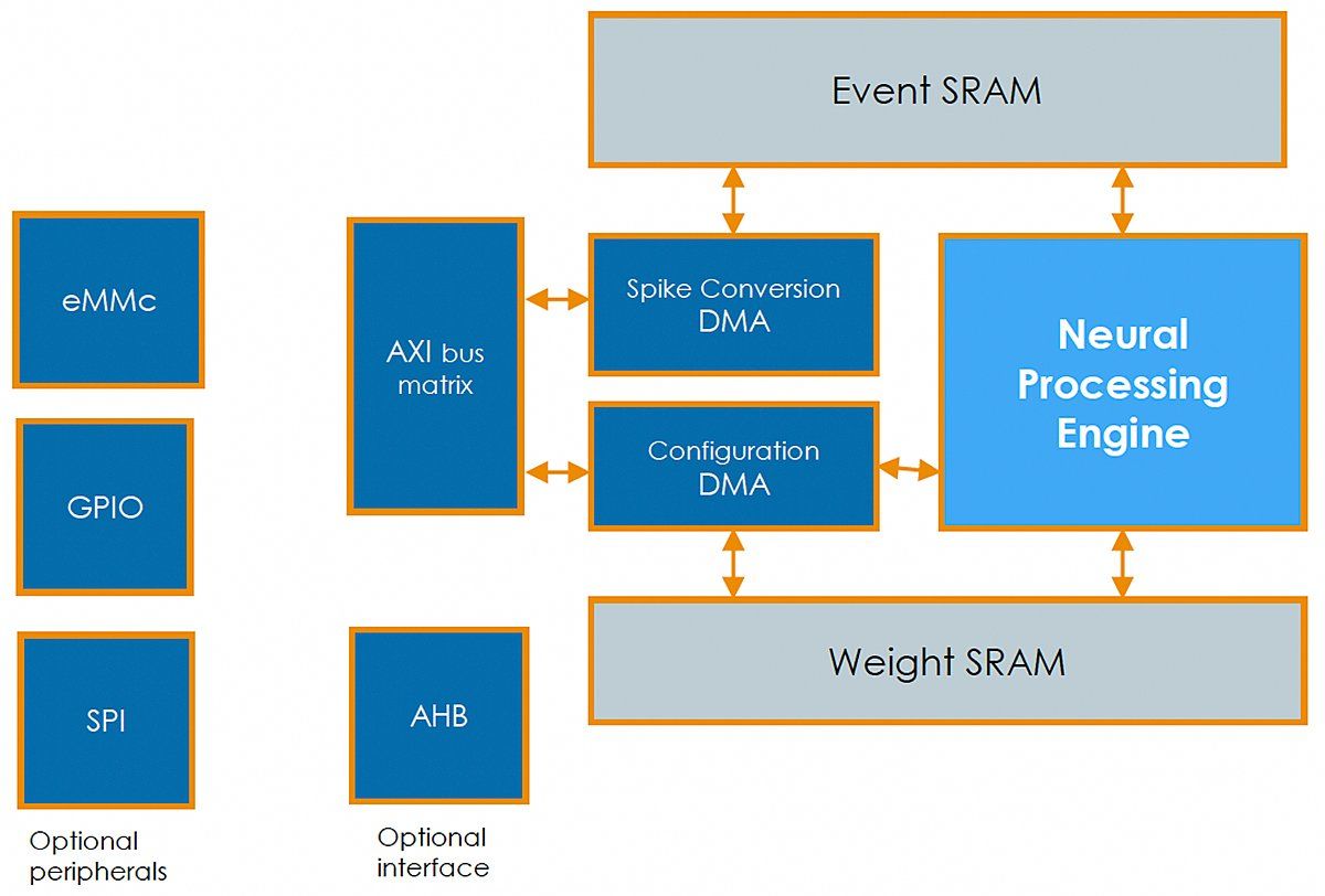 A block diagram of the Akida Pico chip design