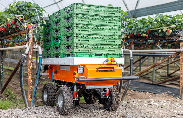 the newly renamed squirrel mobile robot carries pallets through a green house.