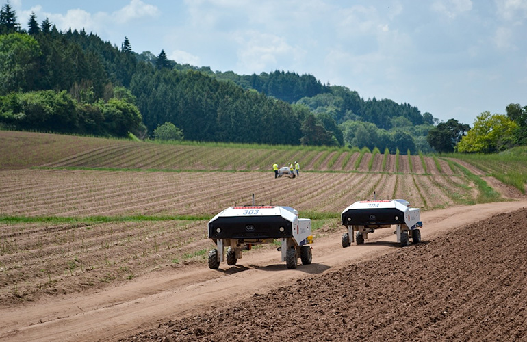 two sprout robots in a field.