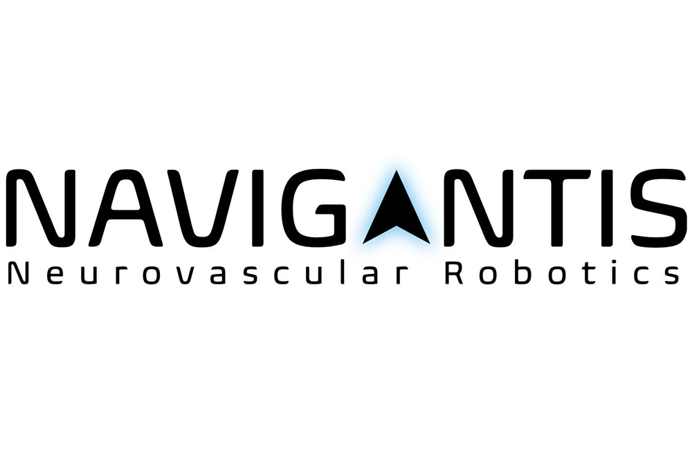 The Navigantis logo.