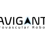 The Navigantis logo.