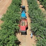 拖拉机在田间行进，拖着收割设备。