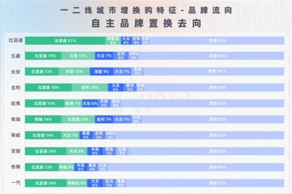 比亚迪车主忠诚度高的离谱：31%换车还买比亚迪
