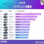 2025年上半年SUV中国销量TOP10出炉：特斯拉Model Y夺冠