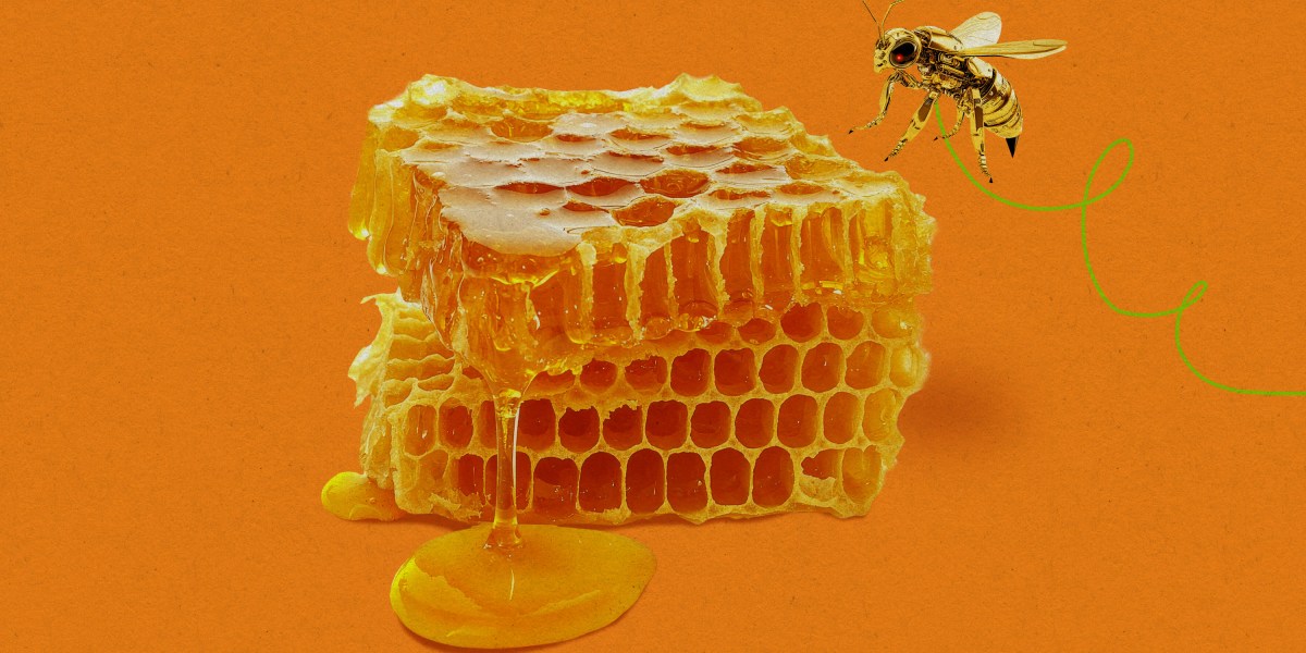 honey-trap.jpg?resize=1200,600