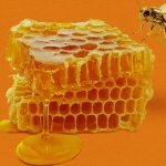 honey-trap.jpg?resize=1200,600