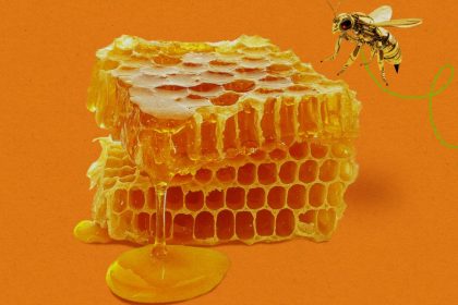 honey-trap.jpg?resize=1200,600