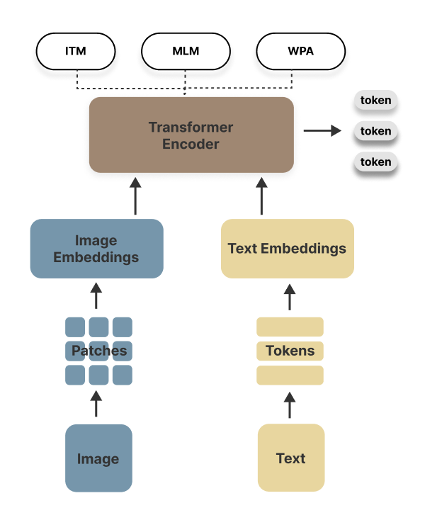 图像 14: ViLT 模型架构