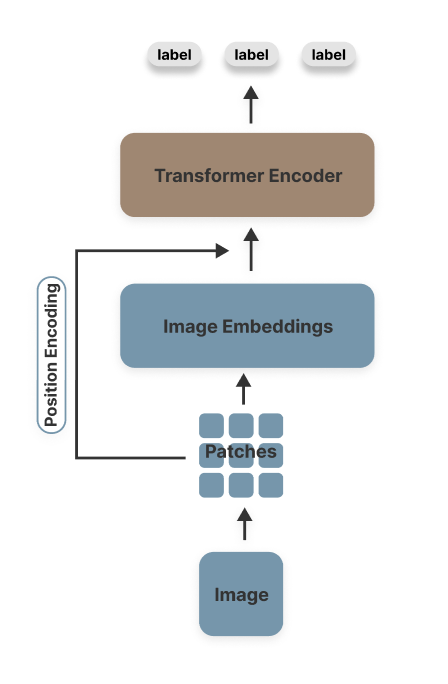 图像 4: ViT 模型架构