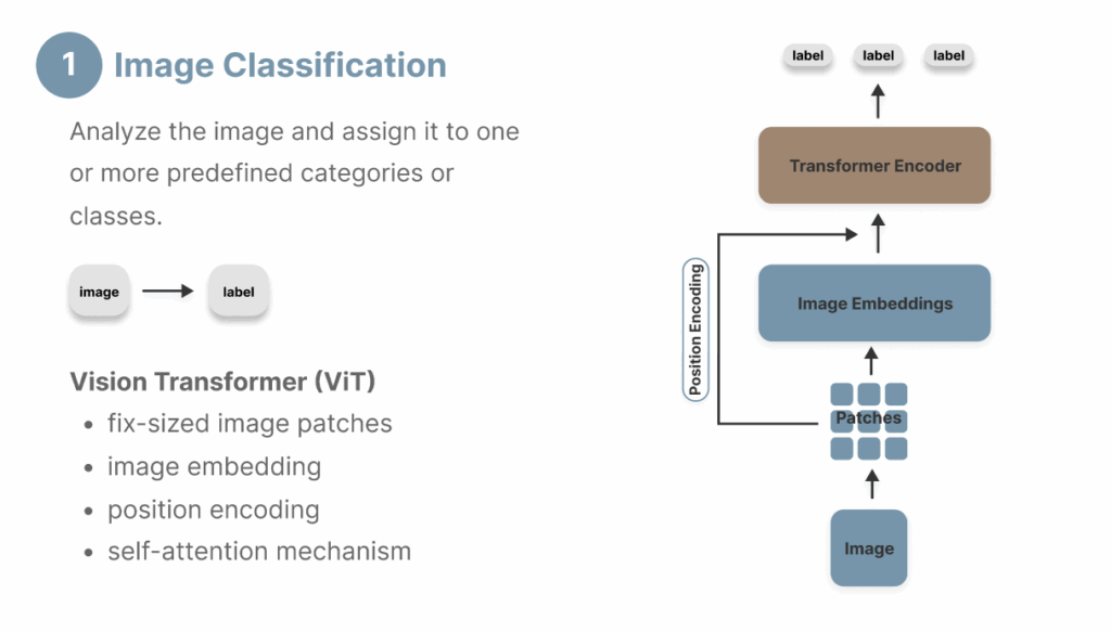 图3：图像分类示例