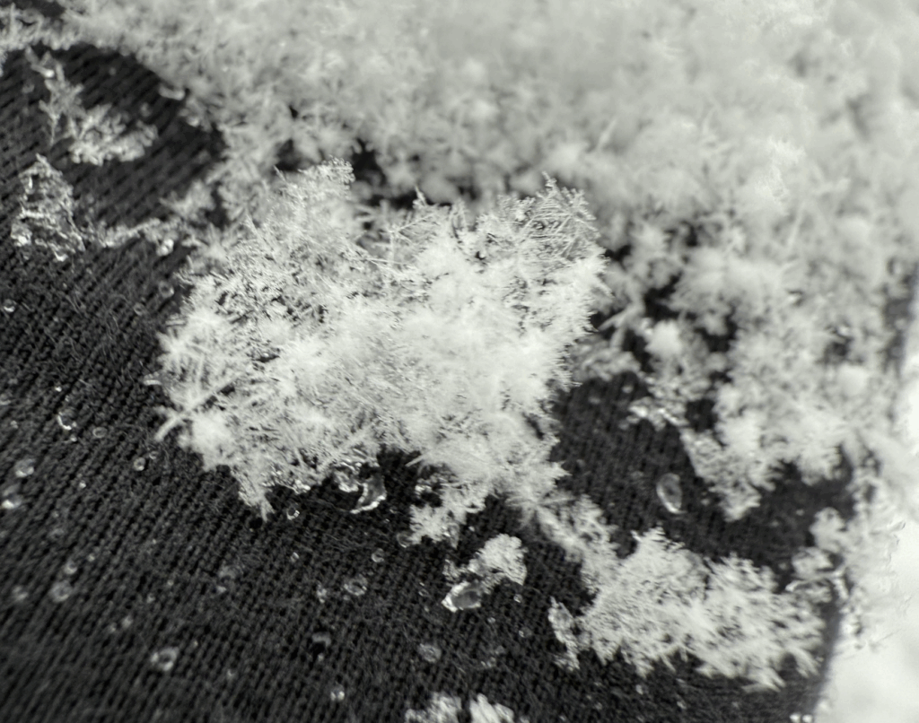 图1：由多个融合雪花组成的聚合物雪粒的微距照片