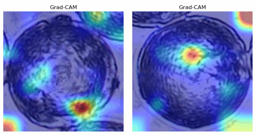图11 — Grad-CAM在0.8和0.9阈值数据集随机图像上的结果。