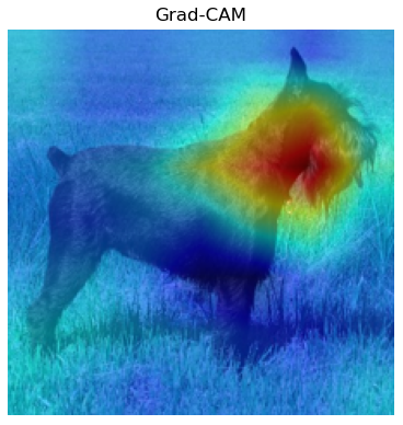 图8 — 显示狗图像的GradCAM示例。