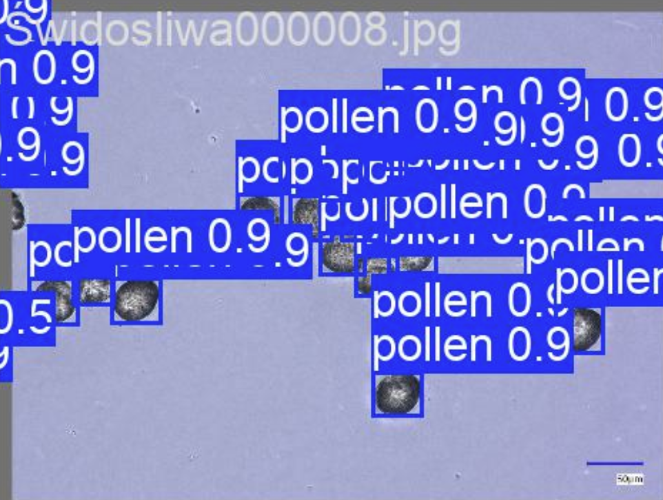图5 — 模型在数据集示例图像上的输出。