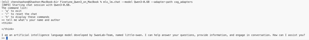 模型英文聊天效果图
