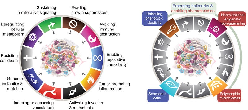 癌症的标志——左侧呈现了癌症需要积累的一系列公认特征，以实现持续的增殖生长。