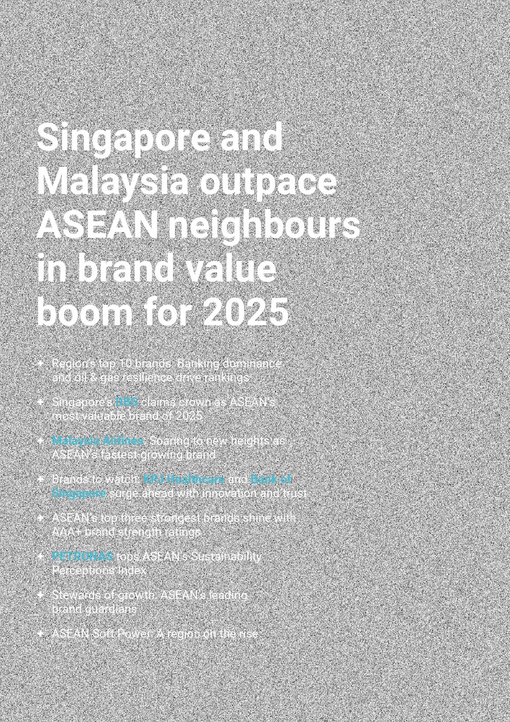 2025年东盟品牌500强榜单详情