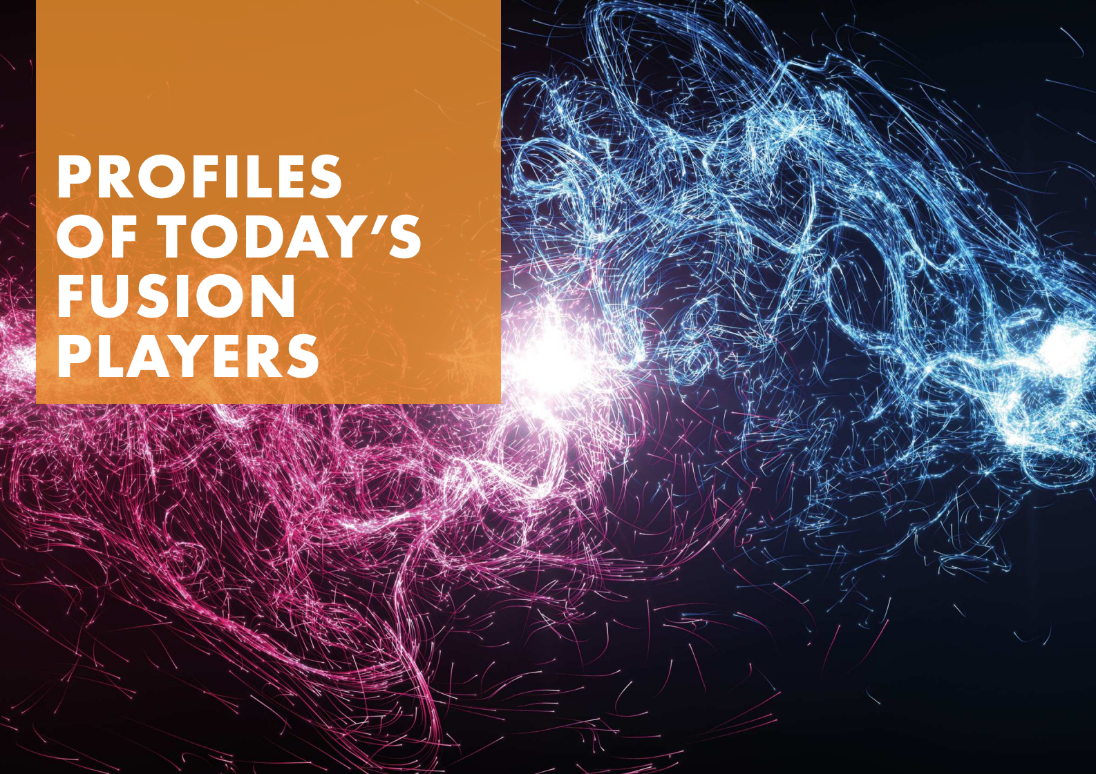 核聚变行业报告图表 10