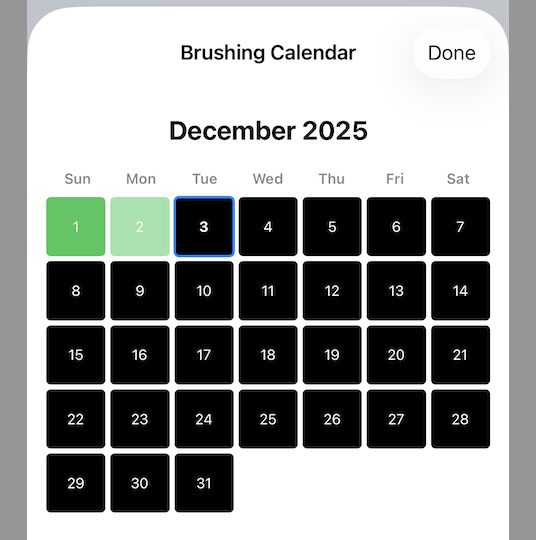 初始网格设计效果图