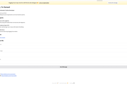 图5：作品集效果示例